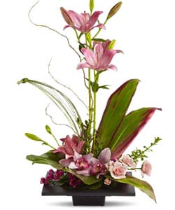 Жарден Флорист